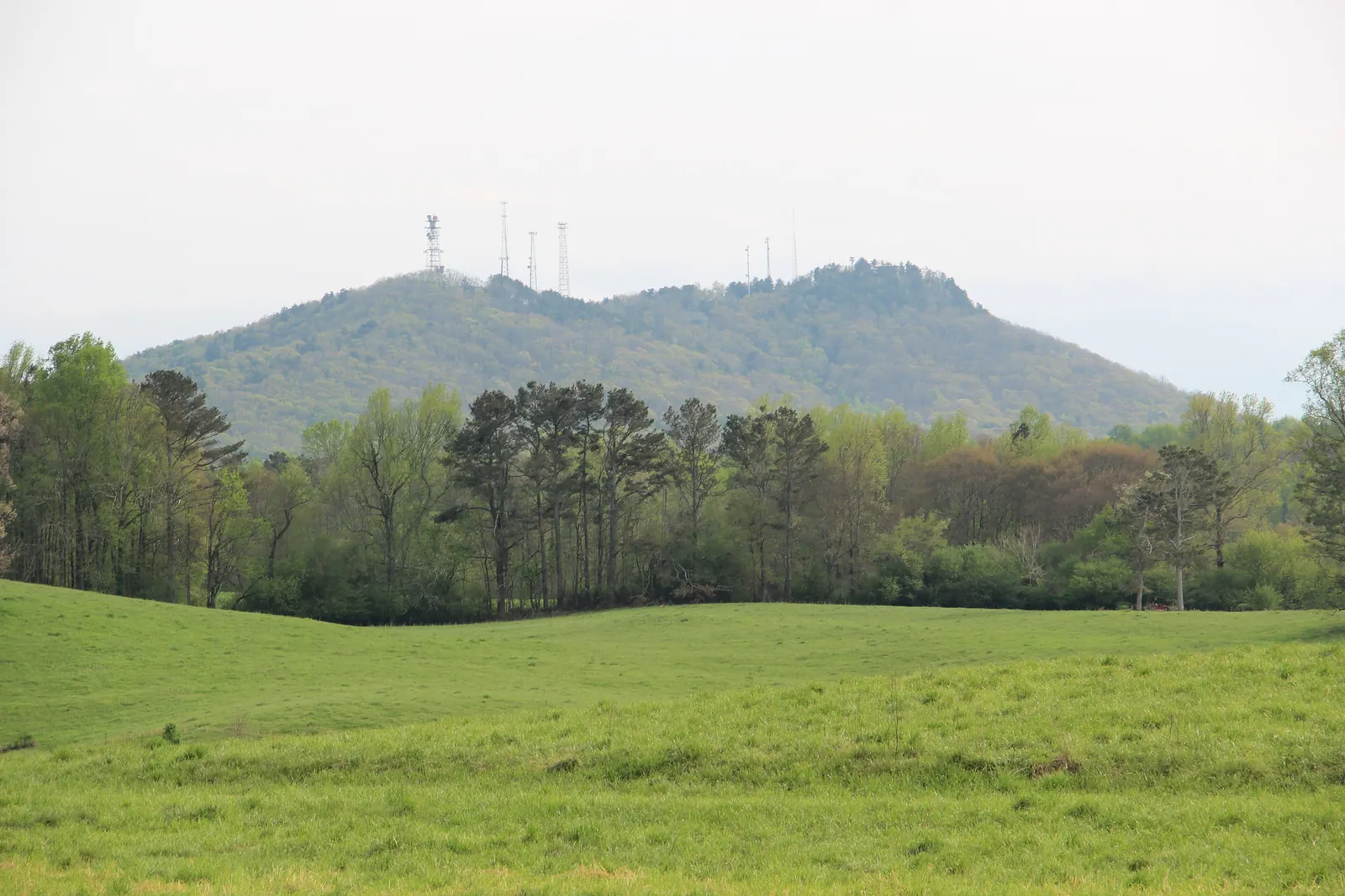 A rounded, fully forested mountain with several radio and communication towers along its summit rises above a line of spring-green trees, with a broad rolling green pasture in the foreground under a pale overcast sky.