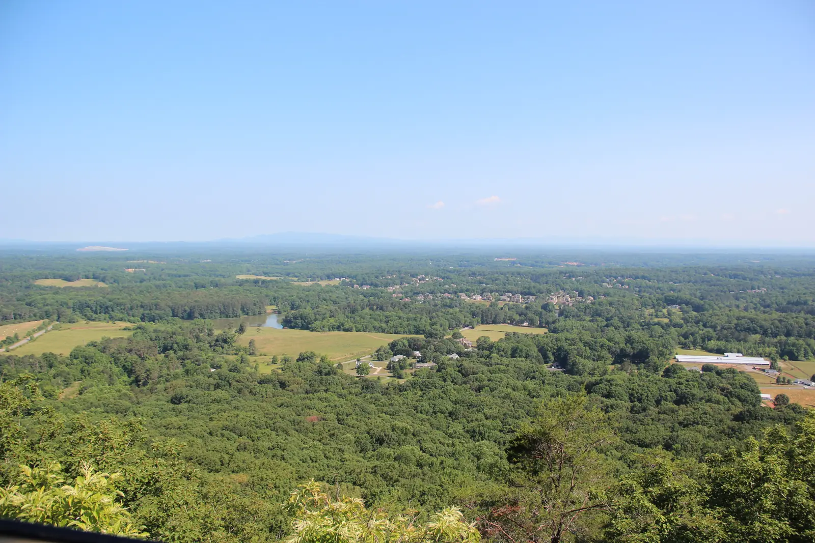 A high, wide summer view over unbroken green forest, pastures, a small pond, farm buildings and distant housing toward a hazy horizon with a faint mountain outline, under a clear pale-blue sky; treetops fill the bottom edge.