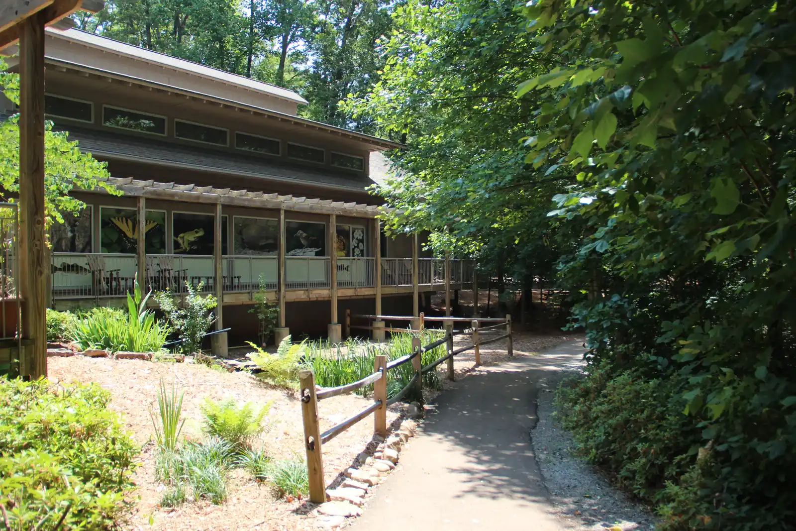 A dark-wood building with a long screened porch decorated with large painted nature panels sits among dense trees and native plantings; a paved path with a split-rail fence curves past it into shade, with a wooden pergola post at far left.